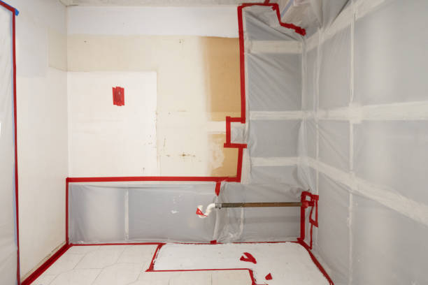Best Mold Removal for HVAC Installations  in Somerdale, NJ
